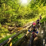Mountain View Willingen, Bw Signature Collection Hotel 4*