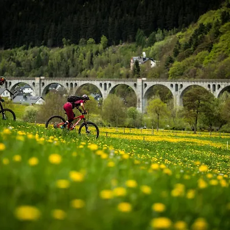 Mountain View Willingen, Bw Signature Collection