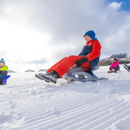 Mountain View Willingen, Bw Signature Collection Hotel