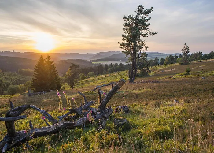 Ξενοδοχείο Mountain View Willingen, Bw Signature Collection