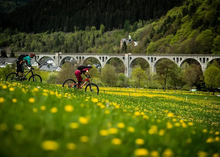 Mountain View Willingen, Bw Signature Collection Willingen (Upland)