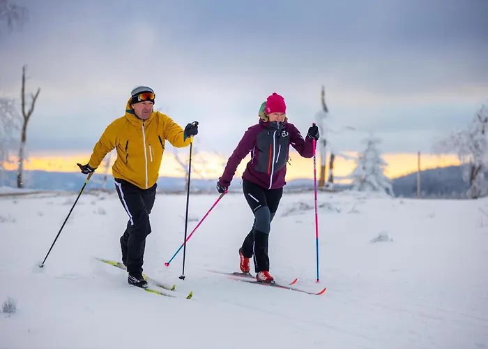 Mountain View Willingen, Bw Signature Collection