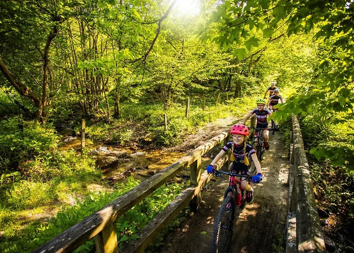 Mountain View Willingen, Bw Signature Collection Ξενοδοχείο 4*