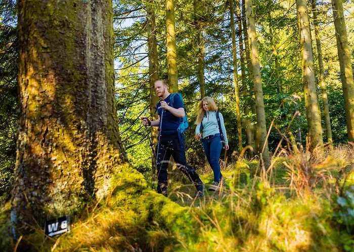 Ξενοδοχείο Mountain View Willingen, Bw Signature Collection Willingen (Upland)